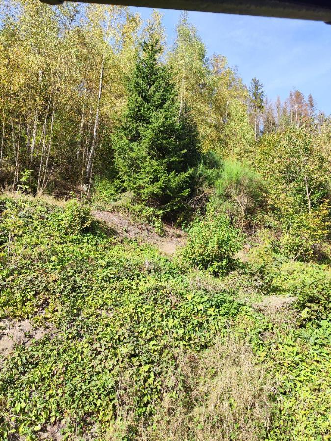 Wohlfuehloase Eifelsteig Villa Simmerath Luaran gambar