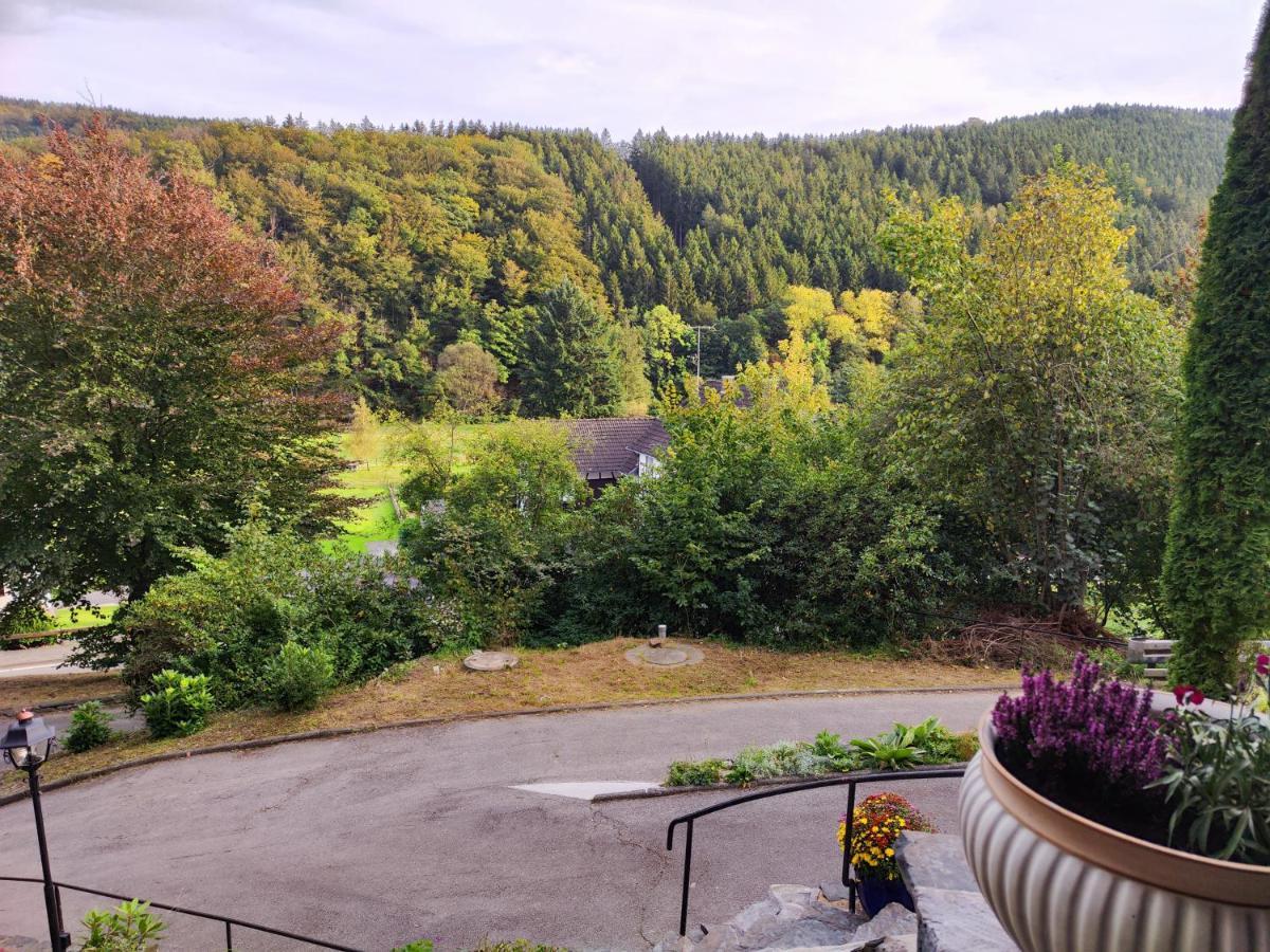 Wohlfuehloase Eifelsteig Villa Simmerath Luaran gambar