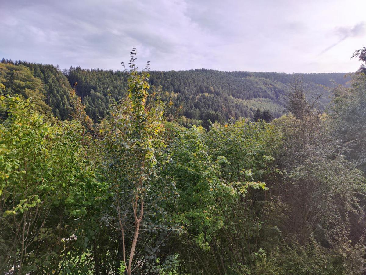 Wohlfuehloase Eifelsteig Villa Simmerath Luaran gambar
